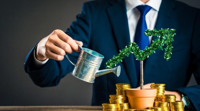 Wealth Creation